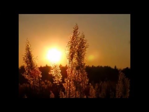 En varjoihin jää/ Demo