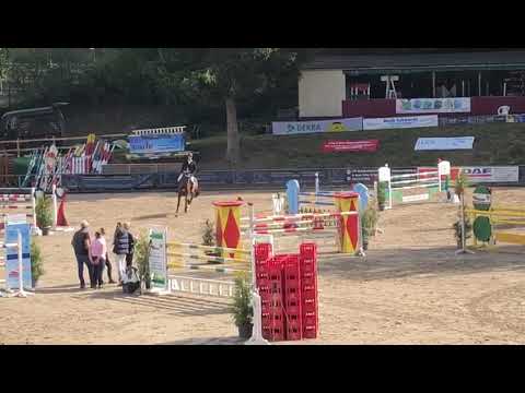 SOLD!!! * WS * 2012 * mare * Balou du Rouet x Canturo * WINTERHOFF-SPORTHORSES * Sportpferde