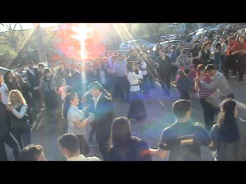 Lili de la Costesti - Hora Serboieni 2011