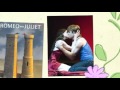 Romeo and Juliet Quotes 