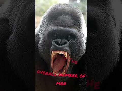100 MEN VS A GORILLA