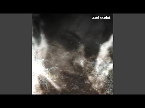 Video thumbnail for axel ocelot