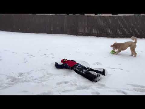 First OKC Snow (2/3/22)