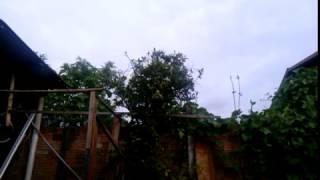 Song for a Guilty Sadist - Crywank (cover)