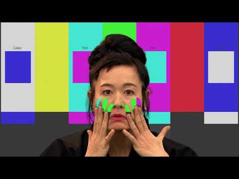 Tour: Hito Steyerl. I Will Survive – with Curator Doris Krystof