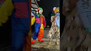 Download lagu stecu stecu happy mp3