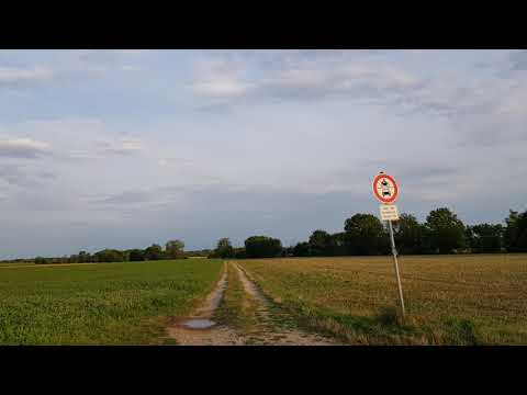 eflite-v900--over-the-limit-