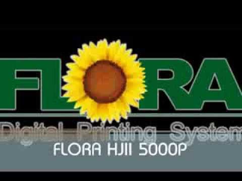 download lagu mp3 mp4 Flex Europa Dubai, download lagu Flex Europa Dubai gratis, unduh video klip Flex Europa Dubai