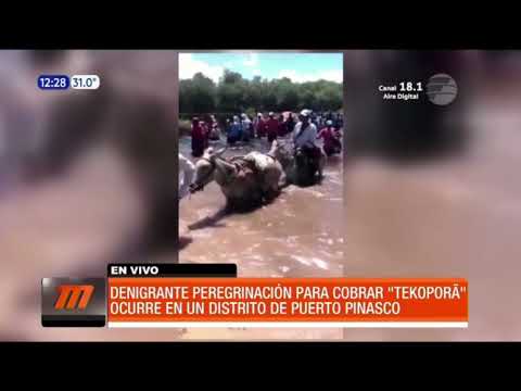 Denigrante peregrinación para cobrar ''Tekoporã''