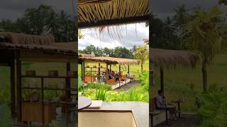 Download lagu Cafe tepi sawah di Ubud 🌾 📍Huma Cafe mp3