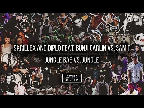 [1V] Jungle Bae vs. Jungle (Martin Garrix Mashup)