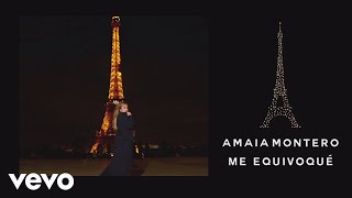 Me Equivoqué Lyrics English Translation