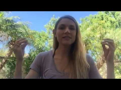 Samkya Philosophy: Purusha & Prakriti