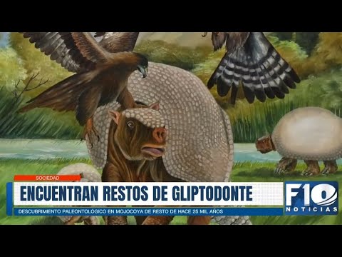 Encuentran restos de Gliptodonte en Chuquisaca