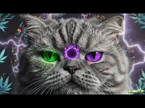 SET NOISILY FESTIVAL - Música de Rave Eletrônica