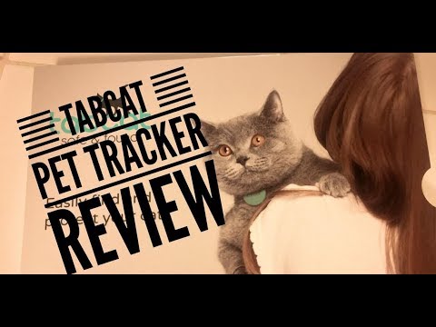 The Tabcat Tracker