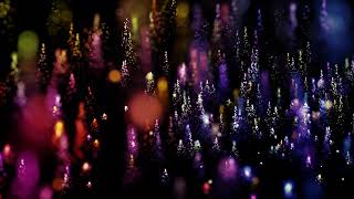 Sparkling bokeh background video | bokeh particles Video Effect | wedding light leaks background HD