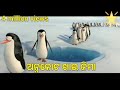ଅନ୍ନ କୋଟ ଖାଇ ଜିମା New Sambalpuri Comedy Like Pankaj Funny
