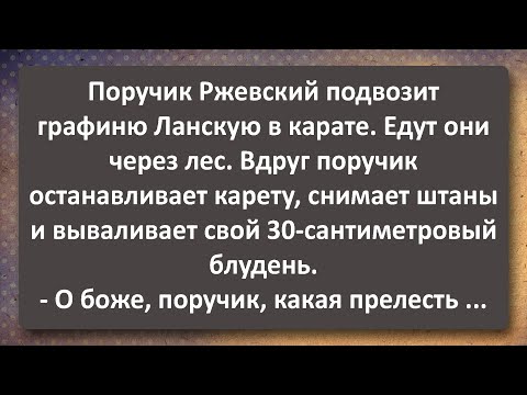 Поручик Ржевский Показал Графине Ланской свой Блудень! Сборник Самых Свежих Анекдотов! Юмор!