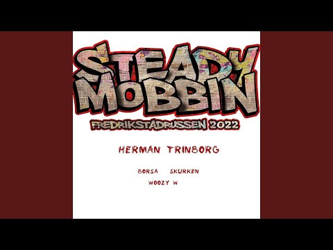 Steady Mobbin - Fredrikstadrussen 2022