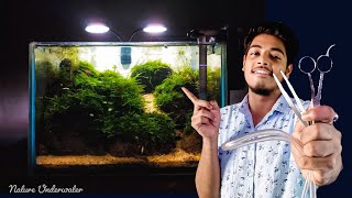Maintenance on a New Planted Aquarium . Simple and easy steps for begginers
