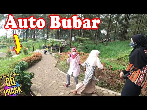 kena-prank-manusia-pohon-auto-bubar-bushman-prank-indonesia
