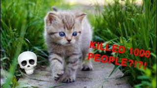 THESE CUTE ANIMALS CAN KILL YOU