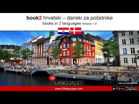 Danski za početnike u 100 lekcija