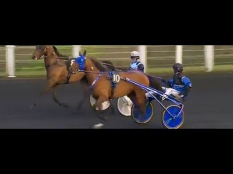 Prix Kerjacques 2016_Timoko_Björn Goop