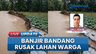Nasib Pilu Petani di Desa Tublopo TTU, Banjir Bandang Rusak Lahan Pertanian Milik Warga
