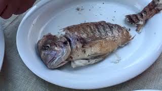 Learn how serve a whole fish Greek style