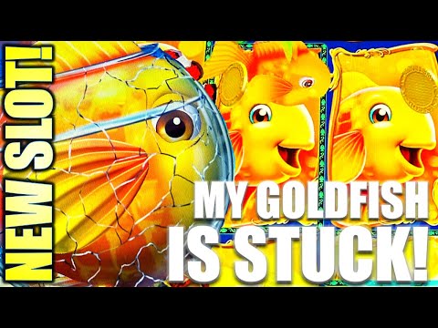 NEW SLOT!   SUPER BIG WIN! GOLD FISH FEEDING TIME Slot Machine (LIGHT & WONDER) - YouTube