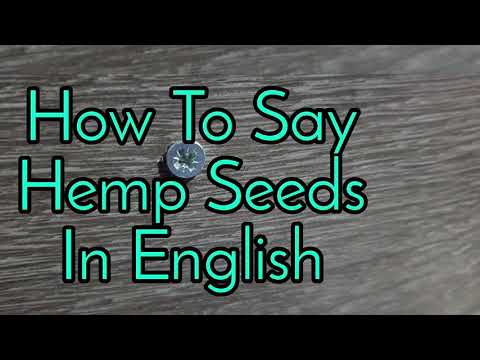 How To Say Hemp Seeds In English
