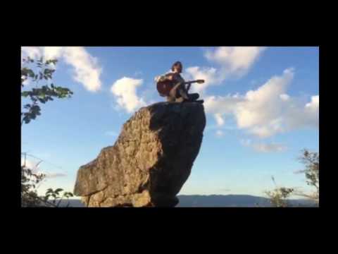 Qual É a Cara do Ladrão - Planta e Raiz