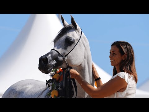 DUBAI STUD - The Aftermovie, MENTON 2023