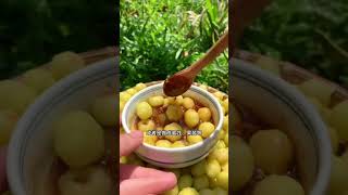 野地瓜、地果大探秘 #山野美食 #鄉村風味 #自然派飲食Have You Tried These Extraordinary Wild Fruits? #shorts #short #WildFood