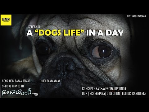 A Dogs Life In A Day | Kannada short movie