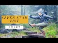 Seven Star Fist - Shaolin Qi Xing Quan - KungFu.Life Step-by-Step Summer Virtual Retreat