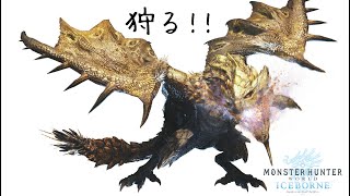 【MHW IB】金レイアを狩る。