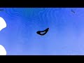 REQUESTED PRO TV Ident Publicitate Effects AlloFresh Csupo Effects