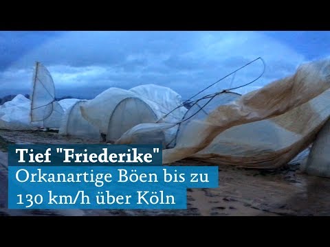 Köln: Sturmtief Friederike bringt orkanartige Böen nach Köln