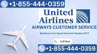 How to Contact United Official Customer Support | Official 24/7 Helpline & Support Guide