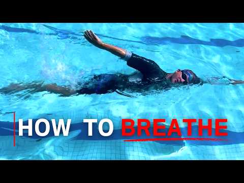 How to Swim Freestyle For Complete Beginners