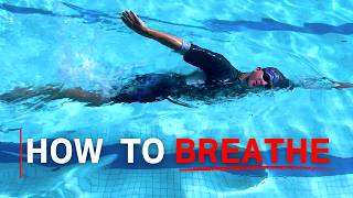 How to Swim Freestyle For Complete Beginners