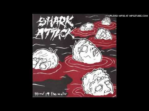 Shark Attack -  Misery Loves Company