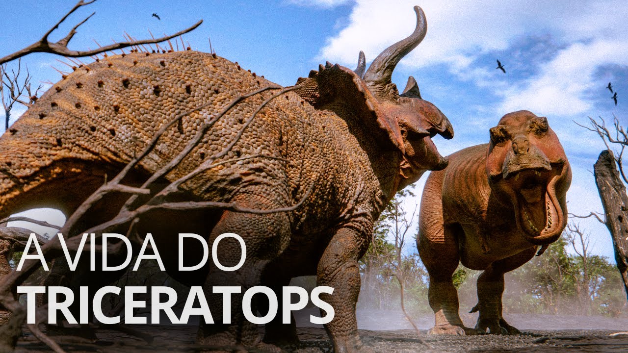Triceratops: the king of dinosaurs.