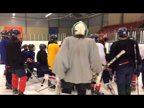 Viggan Hockeys höstlovscamp 2017