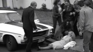 PAUL KELLY - Love Is The Law