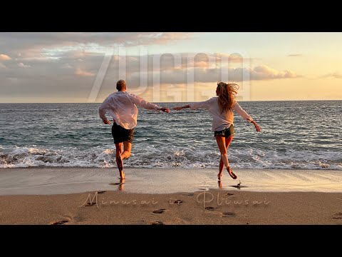 ZYGGA - Minusai ir Pliusai