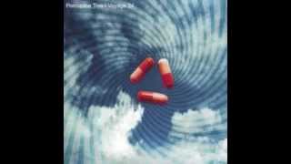 Porcupine Tree - Voyage 34 (Guitar Solo, Part 1 & 2)